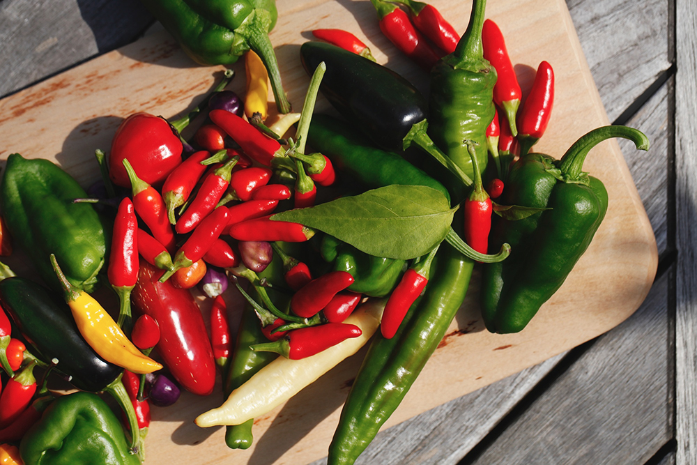 äta chili varje dag