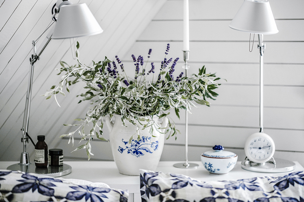 lavendel, blommor