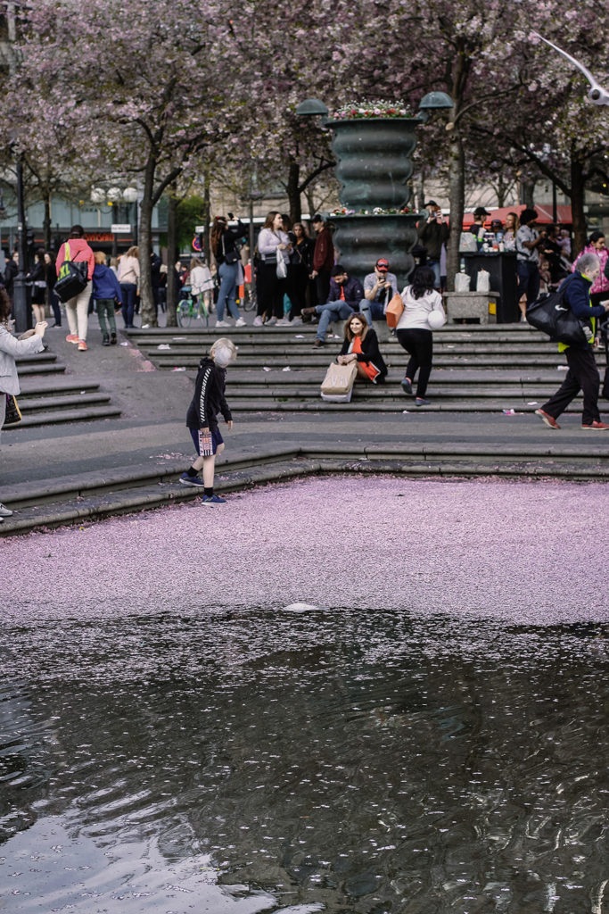 Kungsträdgården