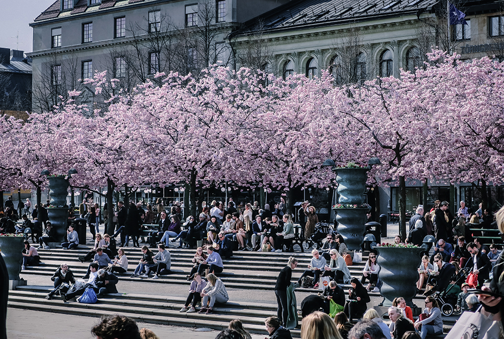 Kungsan, Stockholm