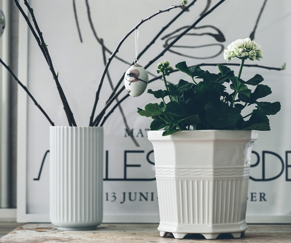 Pelargontiden är här!