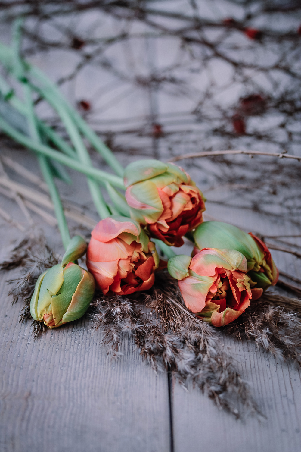 Blommor